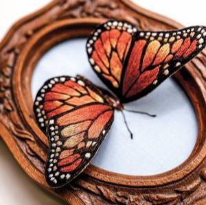 Stumpwork Butterflies & Moths by Jane Nicholas – a Book