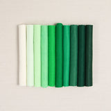 Tones + Tints: Limelight Medley