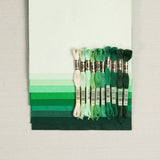 Tones + Tints: Limelight Medley