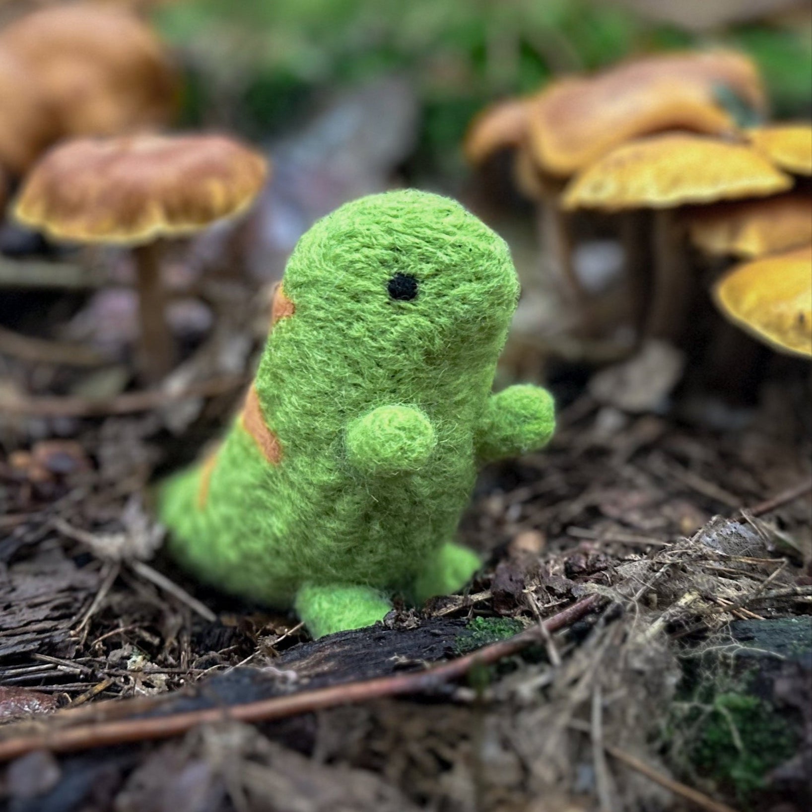 T-Rex, Needle Felting Kit – Benzie Design