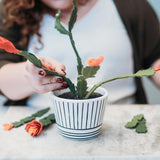 bear and barbaloot flowers, felt flower DIY, felt Christmas Cactus