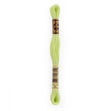 green embroidery floss, DMC 14