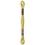 green embroidery floss, DMC 165