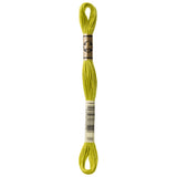 green embroidery floss, DMC 166