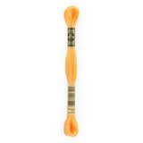 orange embroidery floss, yellow embroidery floss, DMC 19