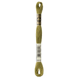 green embroidery floss, DMC 3012