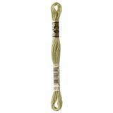 green embroidery floss, DMC 3012