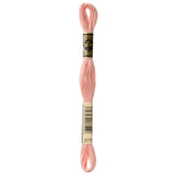 DMC embroidery floss, pink embroidery floss, DMC 3779, Blush
