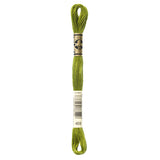 green embroidery floss, DMC 469