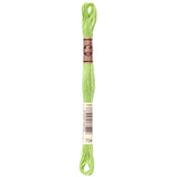 green embroidery floss, DMC 704