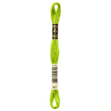 green embroidery floss, DMC 907