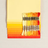 Tones + Tints: Tangelo Medley