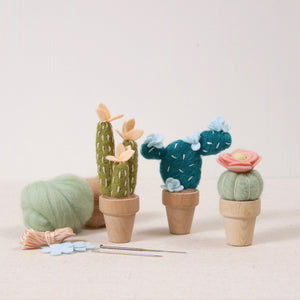 Shop Needle Felting Kits