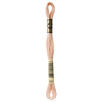 DMC Embroidery Floss, Orange Palette