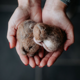 Sleeping Mice, Needle Felting Kit