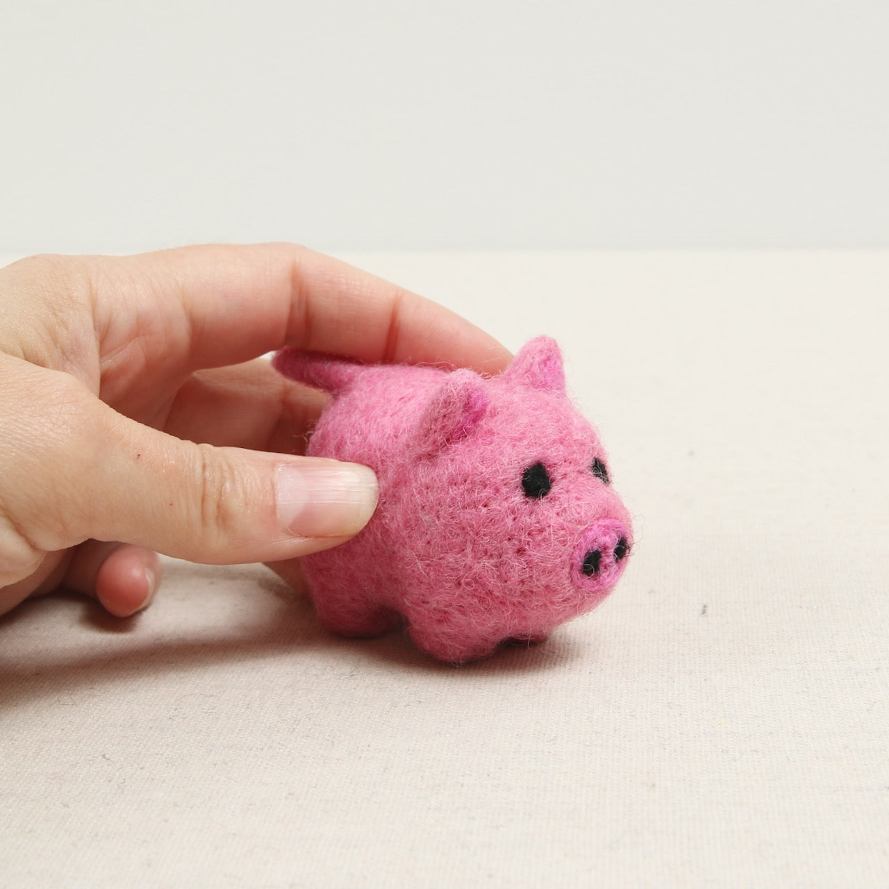 Felt Pig, Taffy