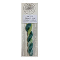 Variegated Floss, Tropic Sea 210