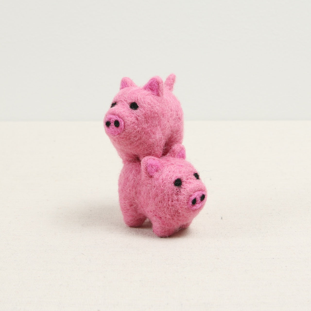 Felt Pig, Taffy