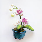 Stumpwork Studio—Mastering 3-D Embroidery
