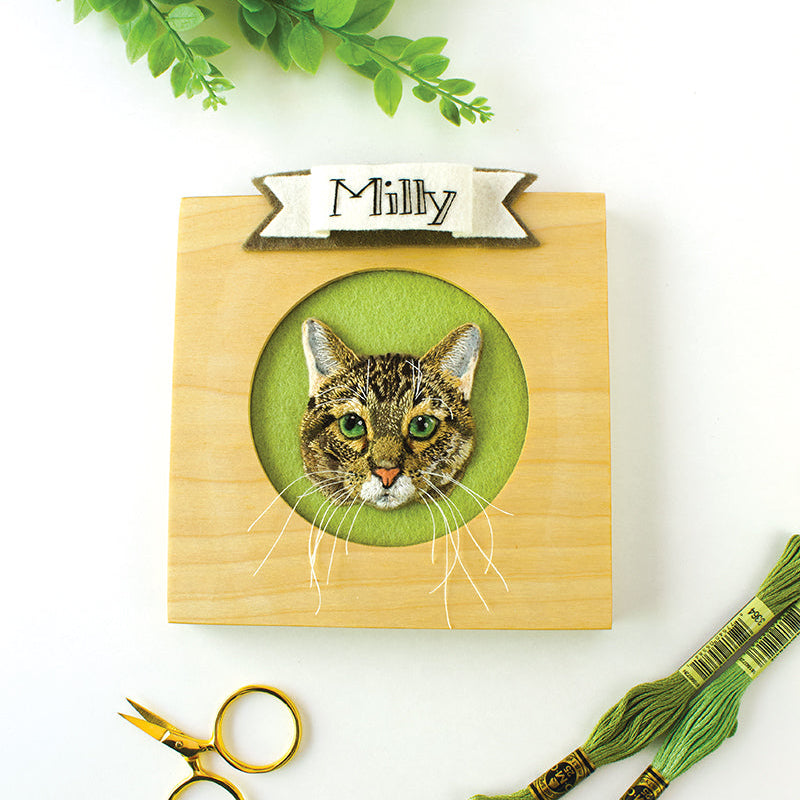 Felt & Thread: 3-D Appliqué & Embroidery