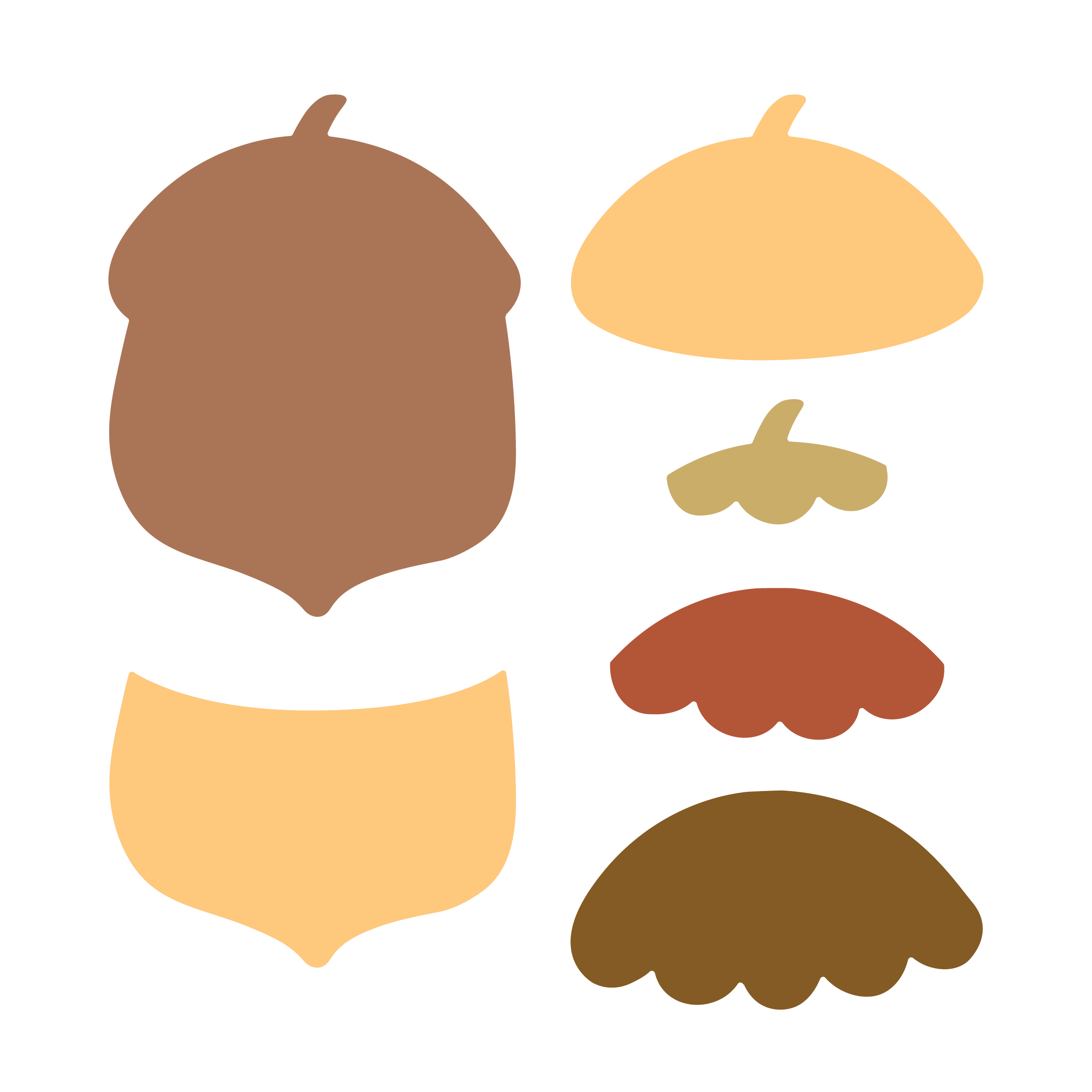 Acorn, SVG & PDF Digital Download