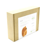 Bear, Needle Felting Kit