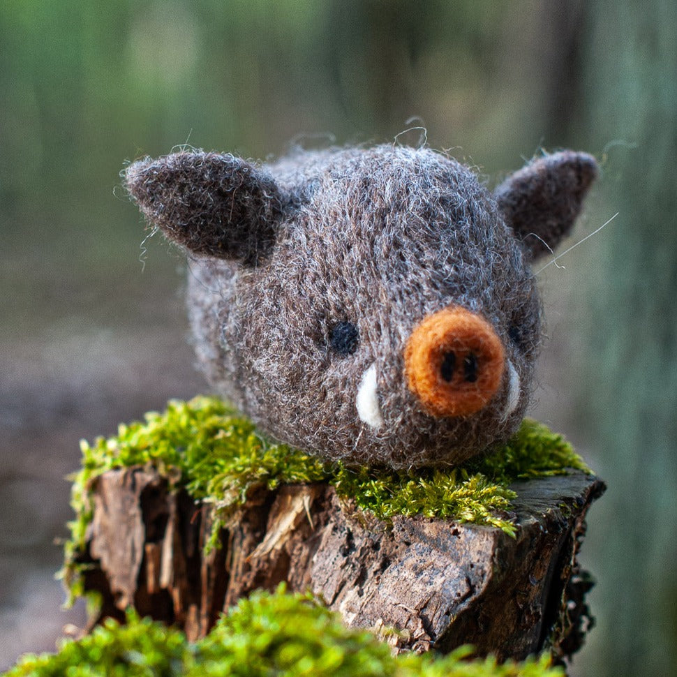 Boar, Needle Felting Kit