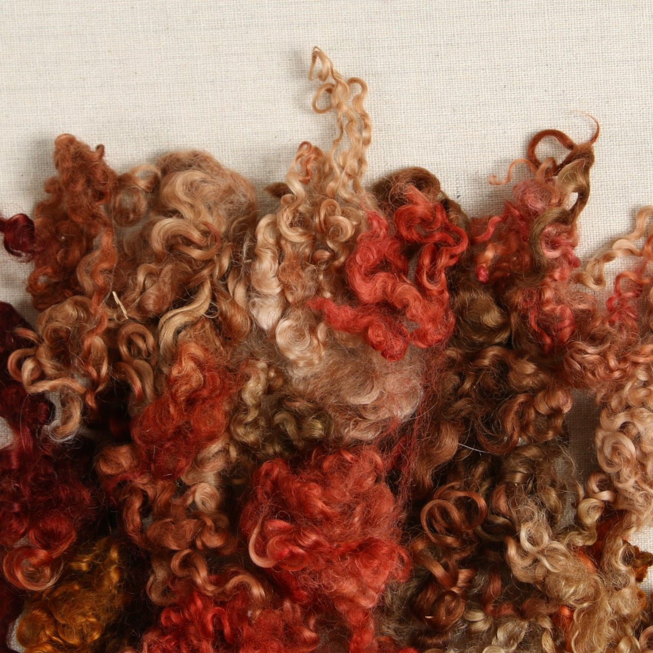 Wensleydale Curls, Auburn
