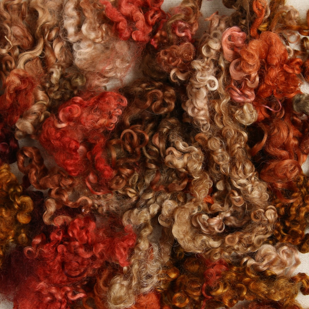 Wensleydale Curls, Auburn