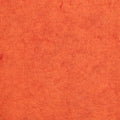 Hubbard, Benzie Limited Edition