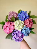 Hydrangea, Deep Etch Die