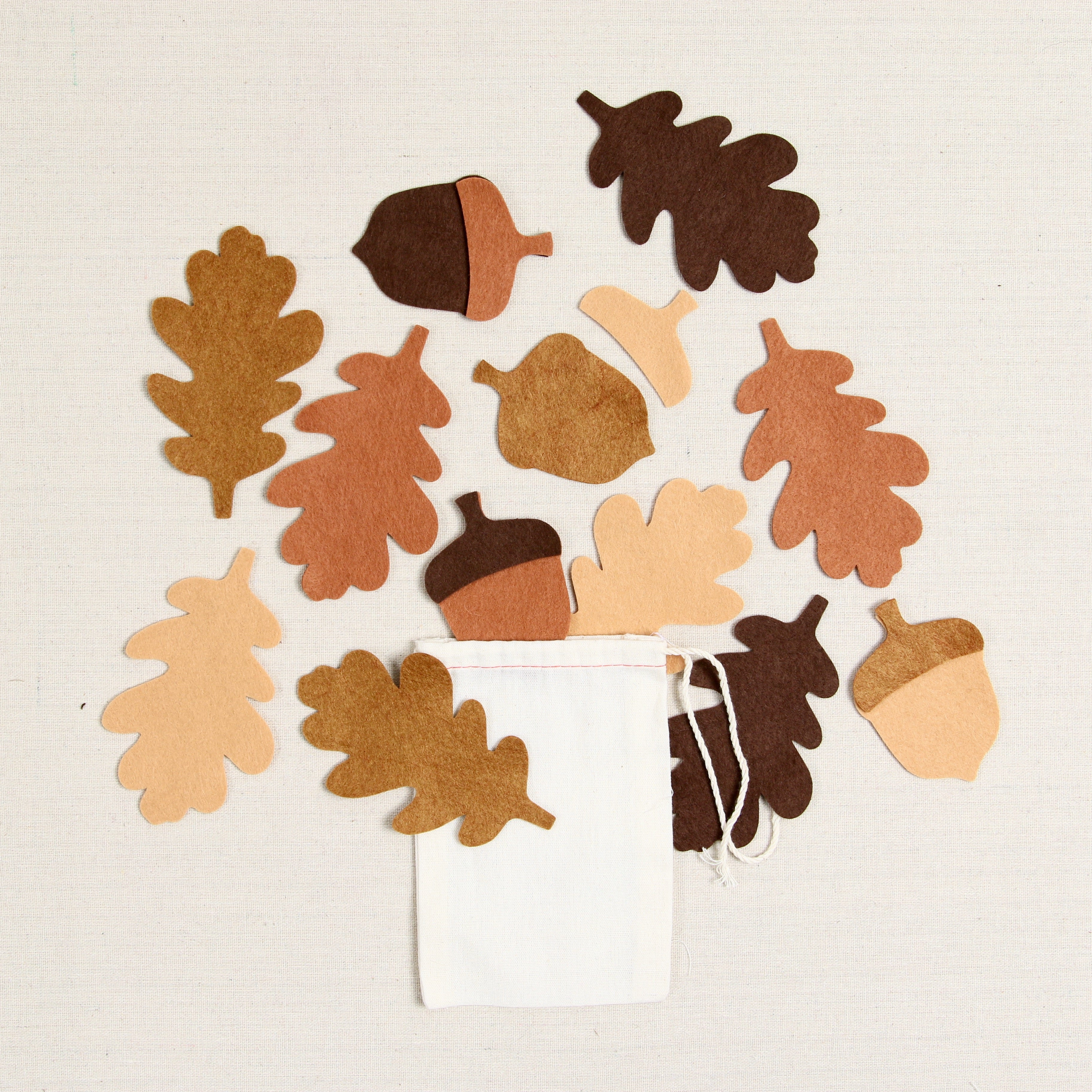 Acorn + Oak Felt-fetti