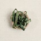 The ThreadGatherer Silk Ribbon, Camouflage 055
