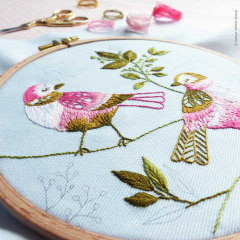 Love Birds, 6" Embroidery Kit
