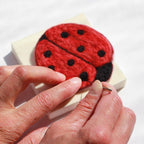 Mini Beetle Felting Kit