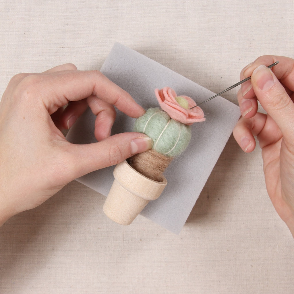 Benzie Bash, Needle Felt a Cactus