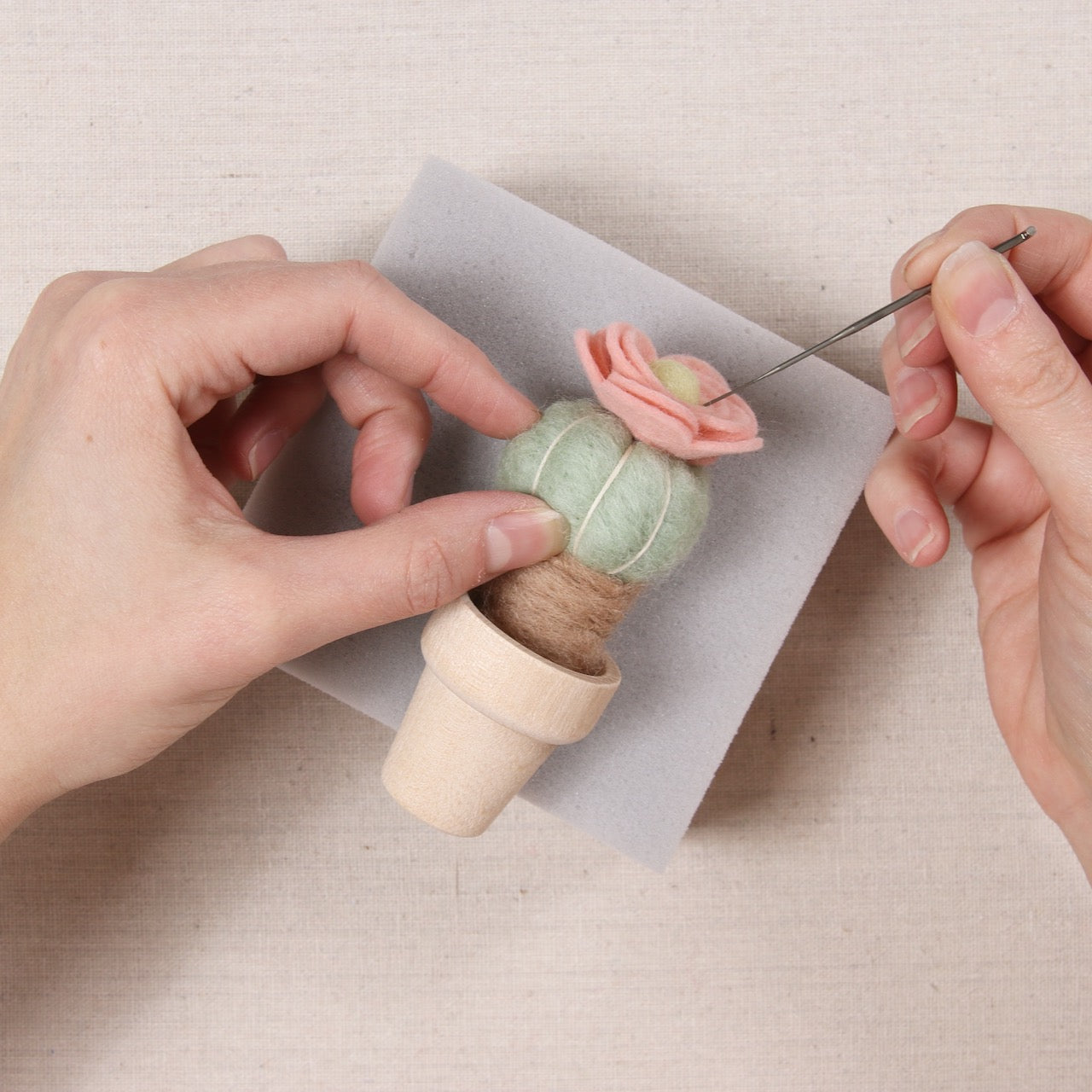 Benzie Bash, Needle Felt a Cactus