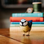 British Birds Blue Tit, Needle Felting Kit