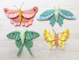 Butterflies and Moths Pattern