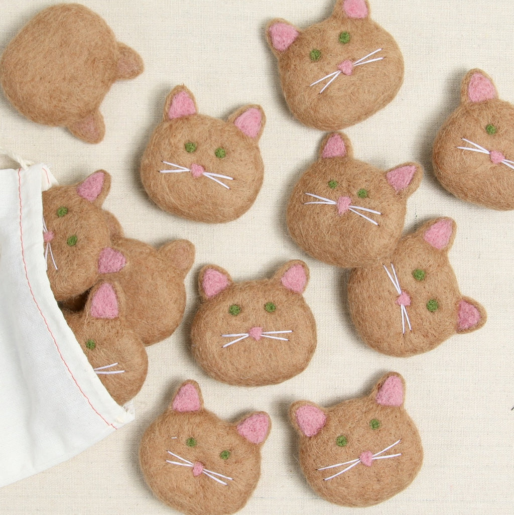 Cat, Latte Brown