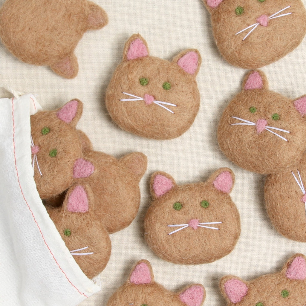 Cat, Latte Brown