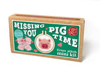 Missing You Pig Time, Mini Matchbox Cross Stitch Kit