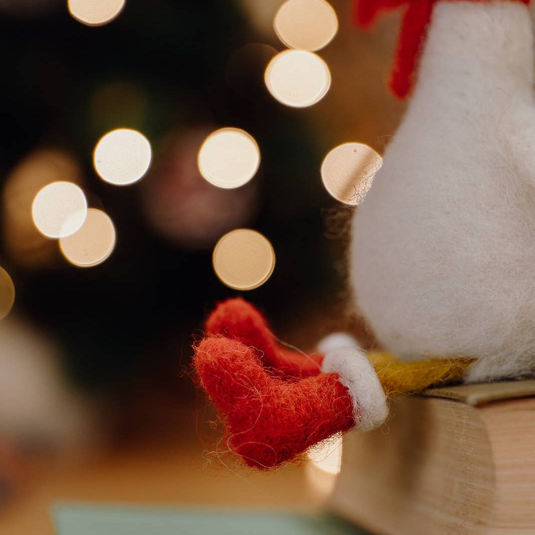Winter Goose Needle Felting Kit