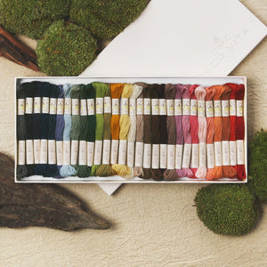 Eco Vita Collectors Box