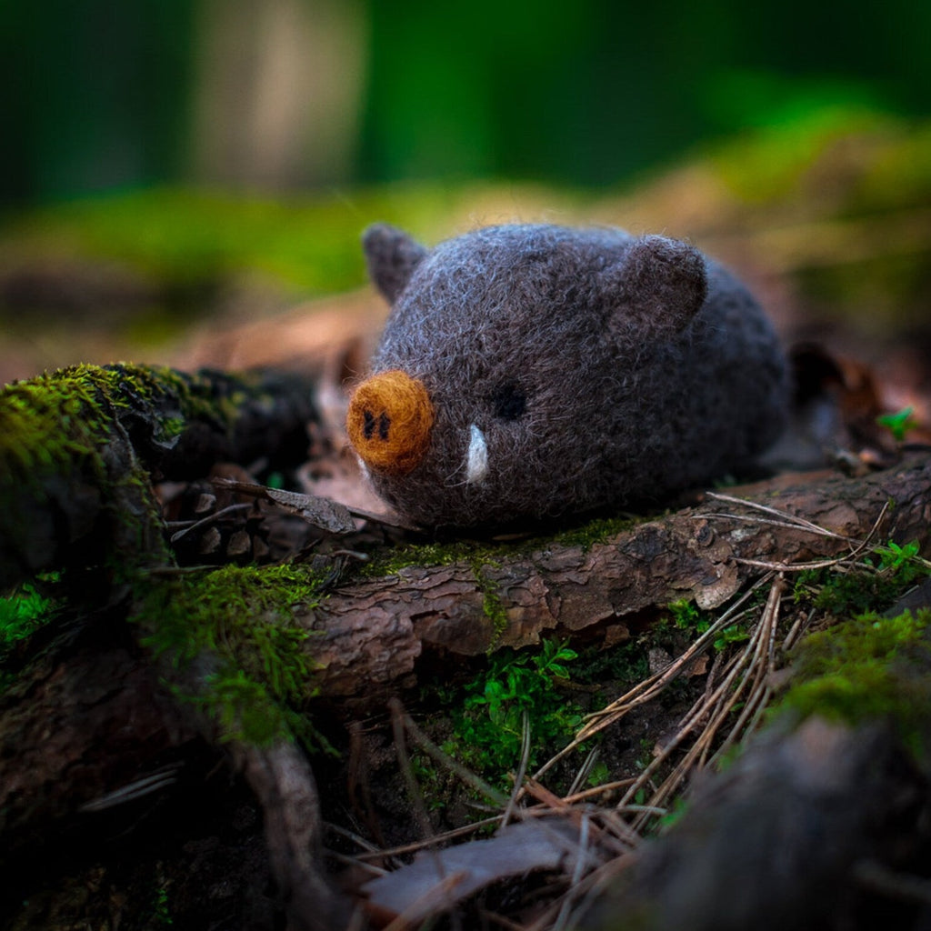 Boar, Needle Felting Kit