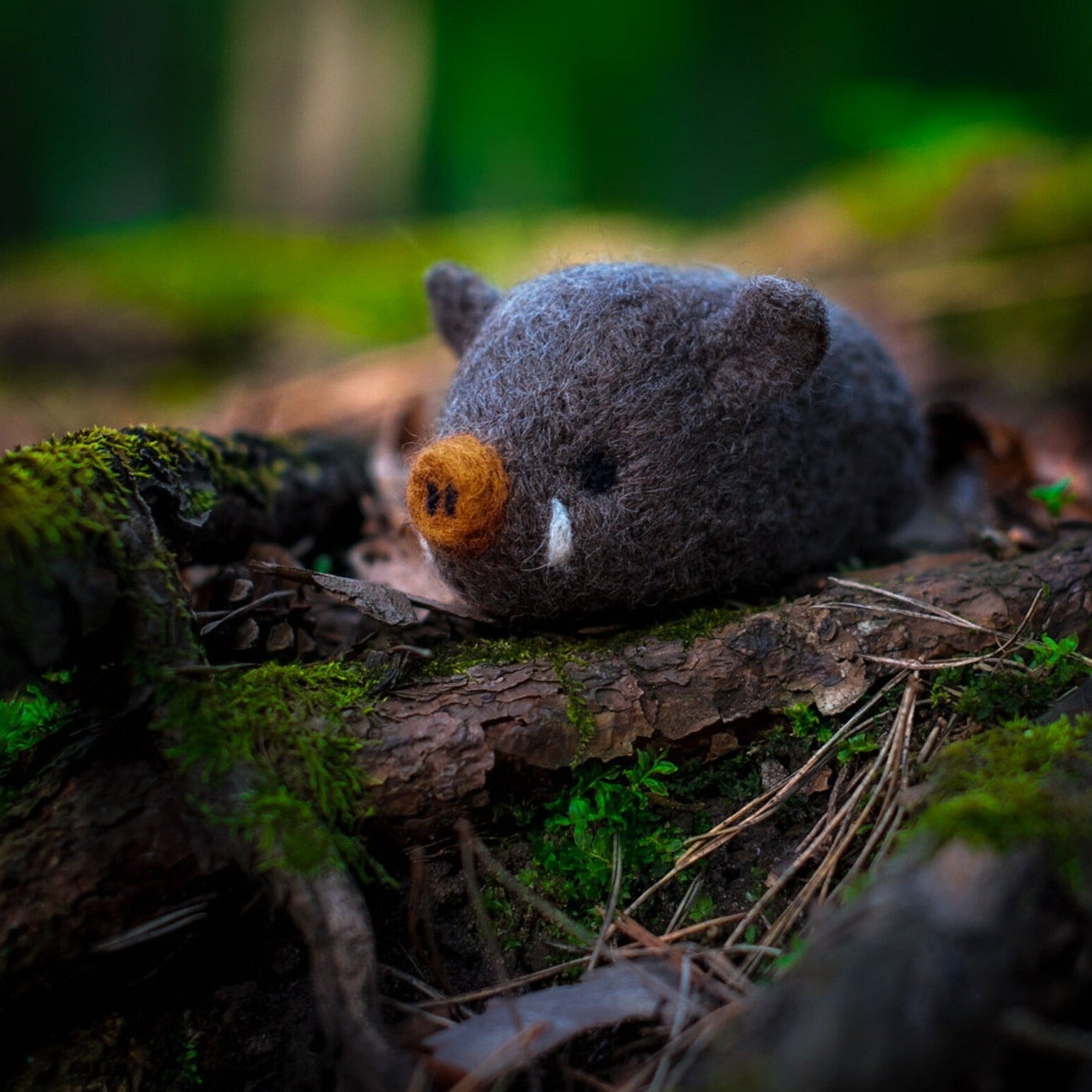 Boar, Needle Felting Kit