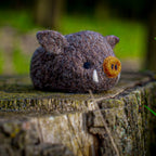 Boar, Needle Felting Kit