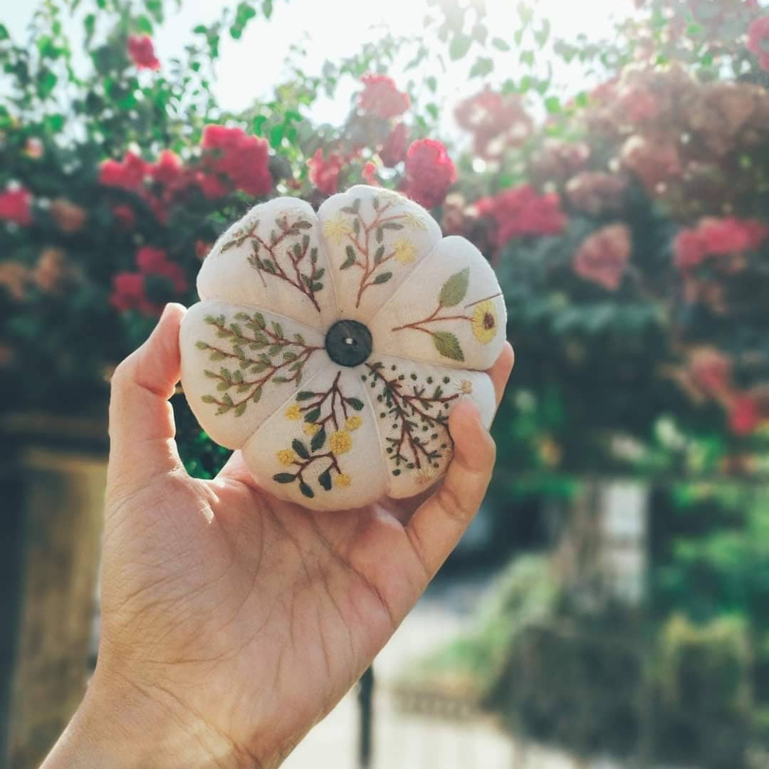 Daisy Mimosa, Pumpkin Pin Cushion