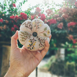 Daisy Mimosa, Pumpkin Pin Cushion