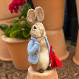 Peter Rabbit, Needle Felting Kit